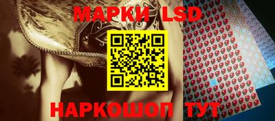 стафф Будённовск