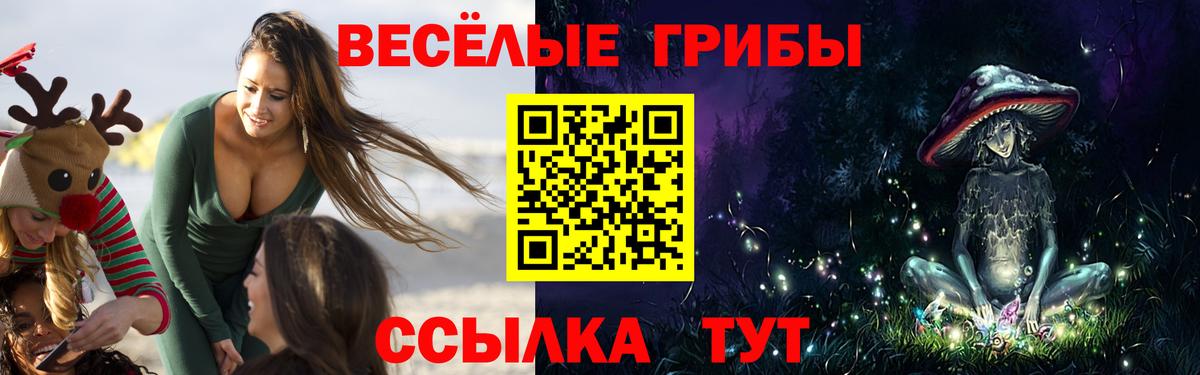 Вологда  Псилоцибиновые грибы Magic Shrooms  купить наркоту  Вход с VPN  Псилоцибиновые грибы мухоморы 